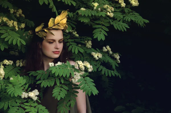 Ninfa en los matorrales — Foto de Stock