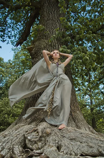 Chica y árbol — Foto de Stock