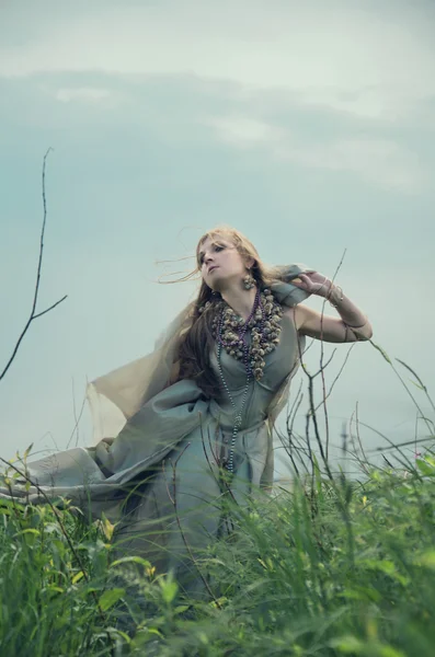 Wind of misty morning, woman in the wind, wild grass, the wind and the witch. Mythological Northern way. — Stockfoto