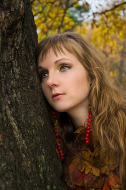 Ormandaki orman perisi