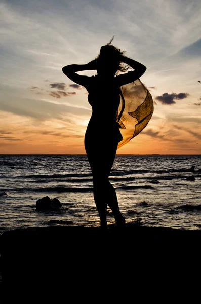 Ρομαντικό Σκιαγραφία ενάντια ηλιοβασίλεμα — Φωτογραφία Αρχείου