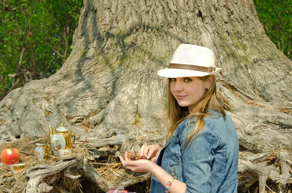 Vintage picknick på skogen — Stockfoto