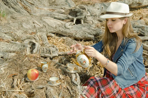 Picknick im Wald — Stockfoto