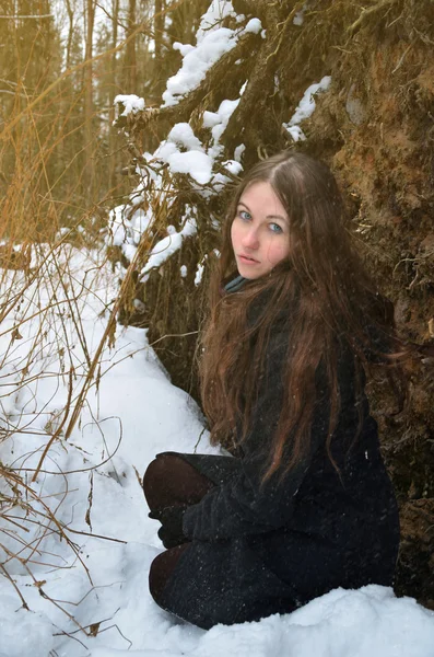 Mujer y nieve en el bosque — Foto de Stock