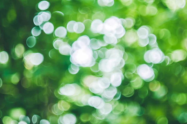 yeşil arka plan bulanık bokeh