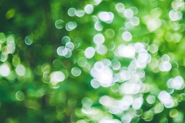 yeşil arka plan bulanık bokeh