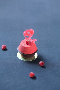 Çağdaş çikolata ahududu Mousse Kek