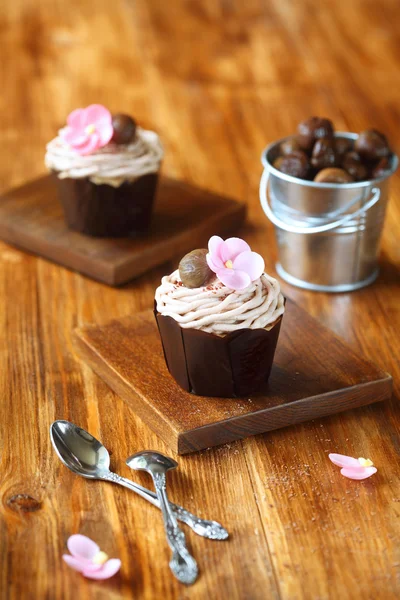 Dois castanha "Mont Blanc" Cupcakes — Fotografia de Stock