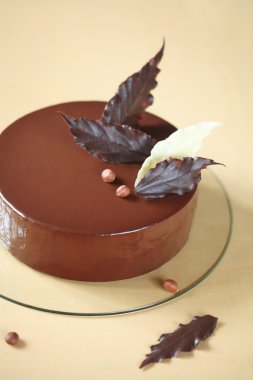 Chocolate Hazelnut Mousse Cake