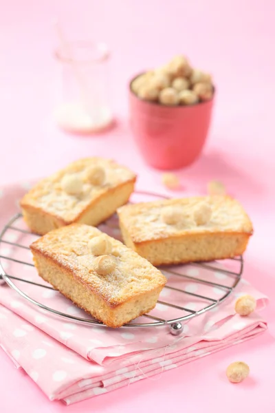 Blondies - White Chocolate Cakes with Macadamia Nuts — 图库照片