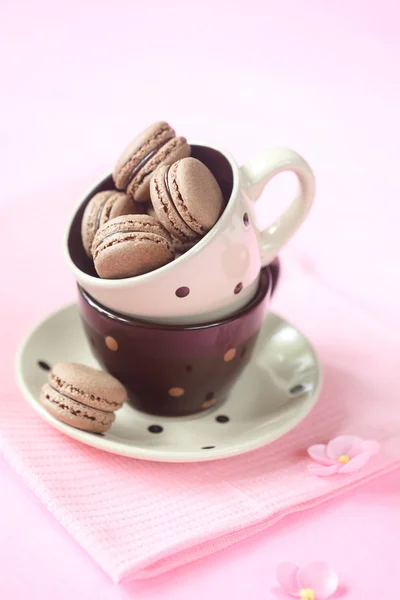 Macarons au chocolat — Photo