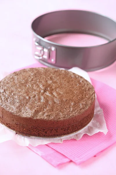 Chocolate Sponge Cake — Stock Photo, Image