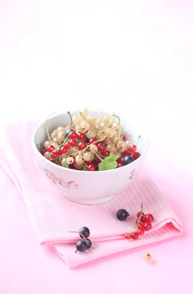 Currants Merah, Putih dan Hitam — Stok Foto