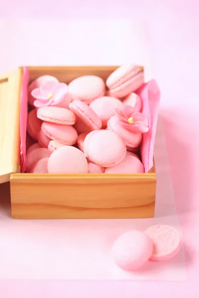 Pink Macaron Shells — Stock Photo, Image
