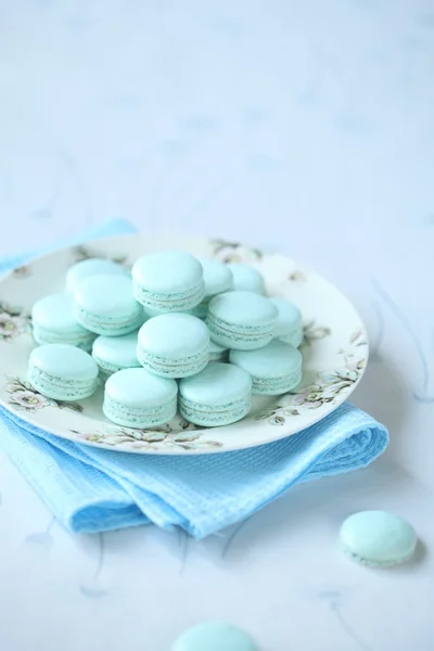 Blue Macaron Shells — Stock Photo, Image