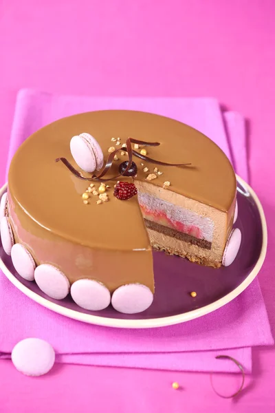 Apple, Blueberry and Milk Chocolate Entremet Cake — Stock Photo, Image