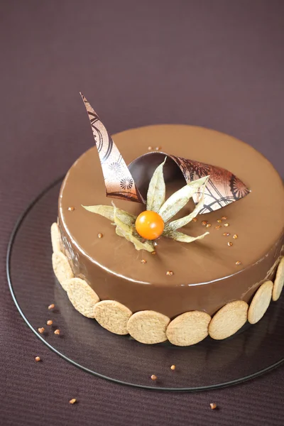 Chocolate Yellow Plum and Hazelnut Entremet Cake — ストック写真