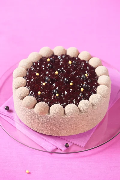 Chocolate Black Currant Mousse Cake — Stock Photo, Image