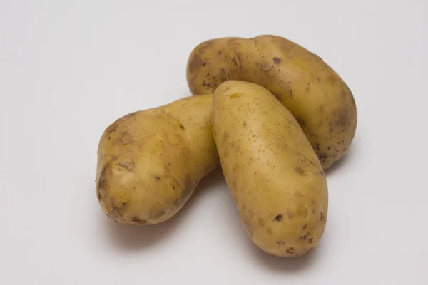 Potato — Stock Photo, Image