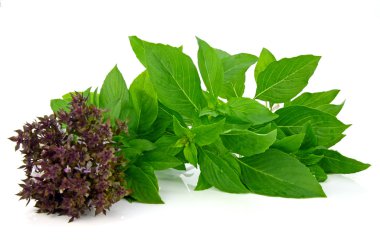 Reyhan yaprak çiçek (Ocimum basilicum Linn ile).