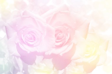 Yumuşak odak renk arka plan olarak filtre ile gül buketi.