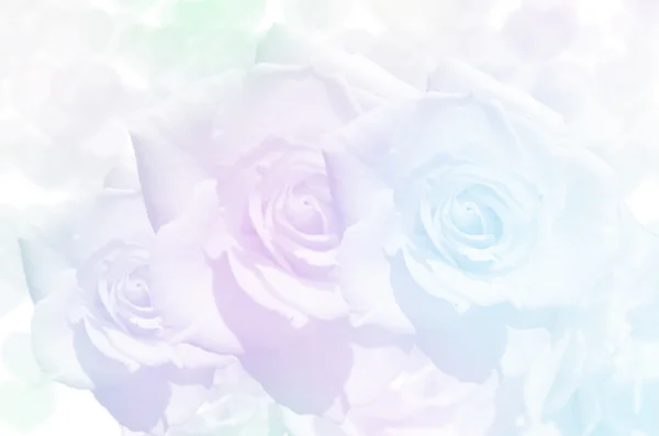 Mazzo di rose con soft focus colore filtrato come sfondo . — Foto Stock