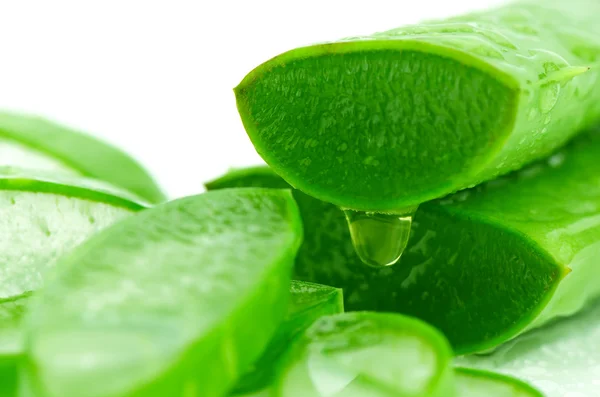 Aloe Vera mit Wassertropfen in Scheiben schneiden. — Stockfoto