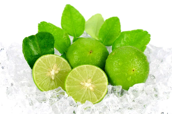 Geschnittene Limette (Citrus aurantifolia (Weihnachten) Schaukel) und Eis. — Stockfoto