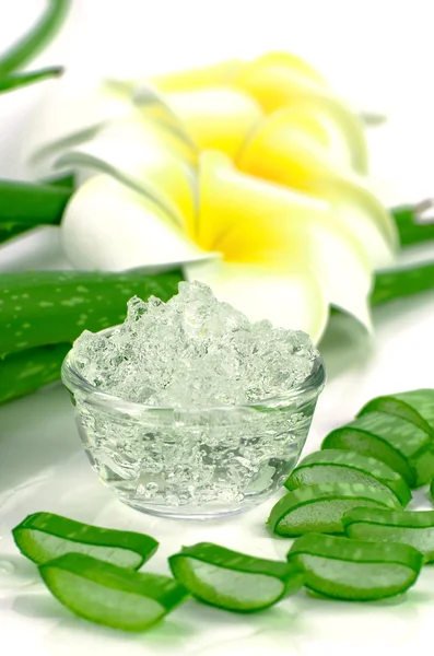 Pure Aloe Vera gel on aloe vera leaves and plumeria background. — Stok Foto