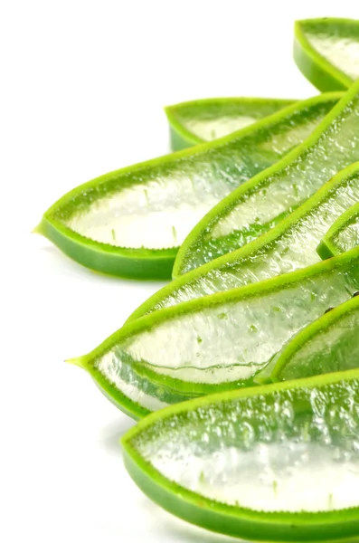 Aloe Vera in Scheiben schneiden. — Stockfoto