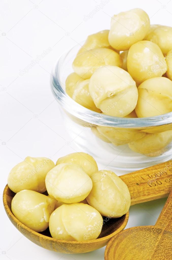Peeled and Roasted Macadamia Nut (Macadamia integrifolia)