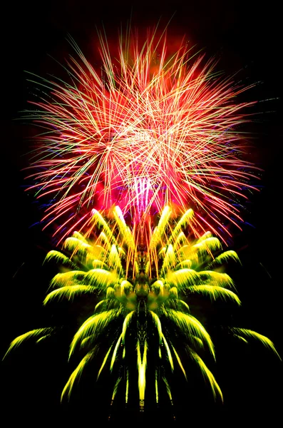 Firework Celebration. — Stock Photo, Image