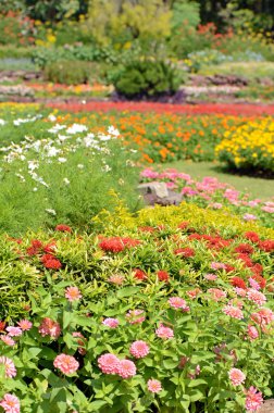 Tropikal çiçek Bahçe Duvar kağıdı.