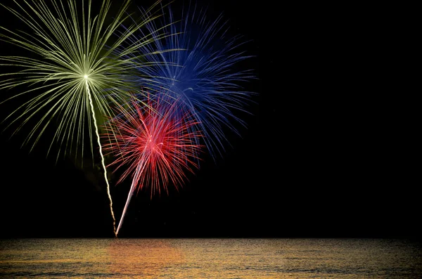 Firework Celebration. — Stock Photo, Image