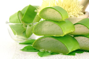 Aloe Vera (Aloe barbadensis Mill., Star Cactus, Aloe, Aloin, Jafferabad veya Barbados) cilt bakımı ve kaplıcalarda çok faydalı bir bitkisel ilaçtır..