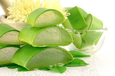 Aloe Vera (Aloe barbadensis Mill., Star Cactus, Aloe, Aloin, Jafferabad veya Barbados) cilt bakımı ve kaplıcalarda çok faydalı bir bitkisel ilaçtır..