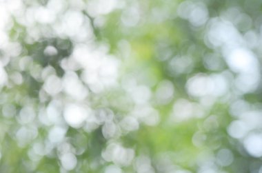 Doğal Bokeh bulanıklık. Soyut doğa arka plan. Tasarım öğesi.