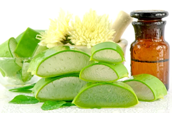 Aloe Vera (Aloe barbadensis Mill., Star cactus, Aloe, Aloin, Jafferabad ou Barbados) um medicamento à base de plantas muito útil para o tratamento da pele e uso em spa para cuidados com a pele . — Fotografia de Stock