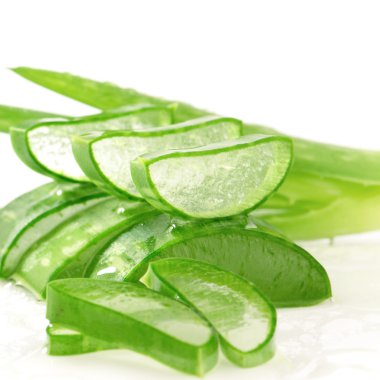 Aloe Vera (Aloe barbadensis Mill.).