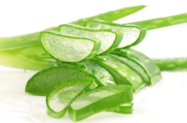 Aloe Vera (Aloe barbadensis Mill.)