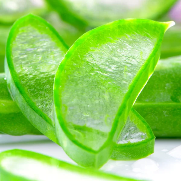 Aloe Vera (Aloe barbadensis Moinho .). — Fotografia de Stock