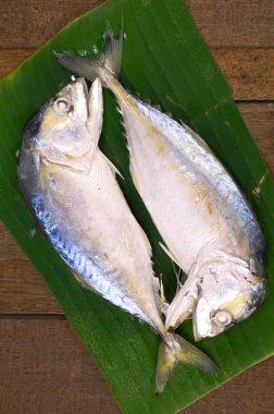 Seçili kaynaklandığını uskumru (Rastrelliger brachysoma) üzerinden Tayland Körfezi.