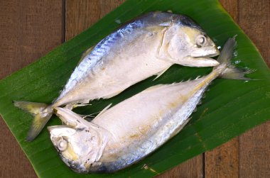 Seçili kaynaklandığını uskumru (Rastrelliger brachysoma) üzerinden Tayland Körfezi.