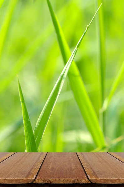 Grüner Glashintergrund mit Holztisch. — Stockfoto