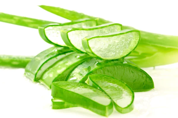 Aloe Vera affettata . — Foto Stock