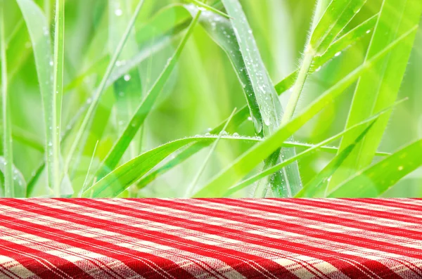 Green Grass Background with Picnic Table. — Stock Photo, Image