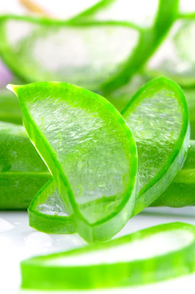 Aloe Vera en rodajas . — Foto de Stock