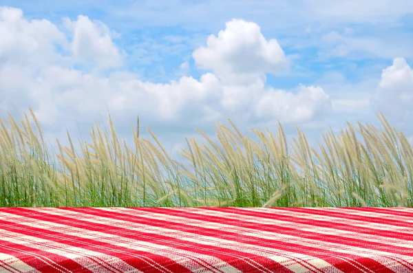 Outdoor-Picknickhintergrund mit Picknicktisch. — Stockfoto