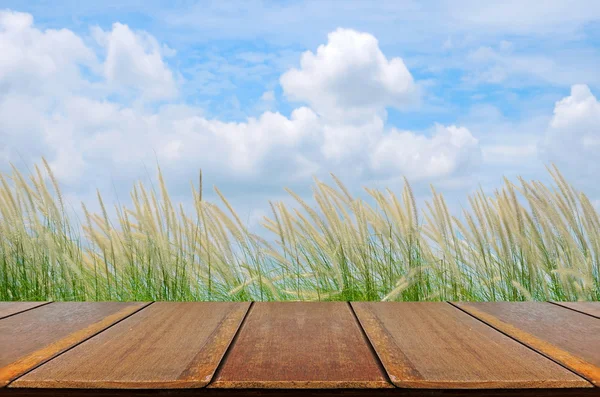 Outdoor-Picknickhintergrund mit Picknicktisch. — Stockfoto