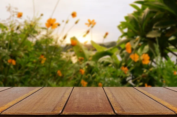 Wazig vintage achtertuin tuin achtergrond met perspectief hout venster weergave. — Stockfoto